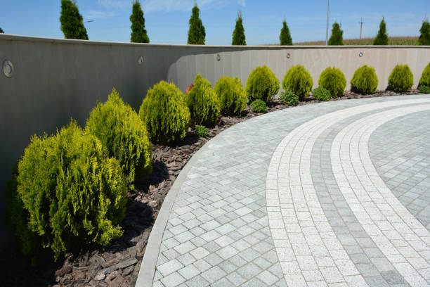 Best Driveway Paving Contractor  in Gardendale, TX